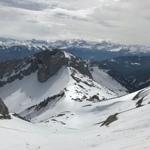 Meet your Posher, Lindsey